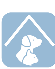 Luxurious Pet Boarding