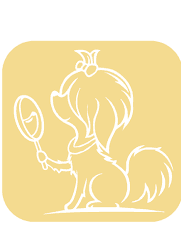 Luxurious Pet Grooming