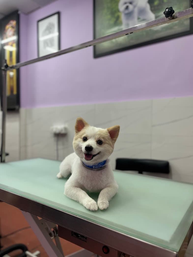 We Provide Care, That Your Pet Deserves!